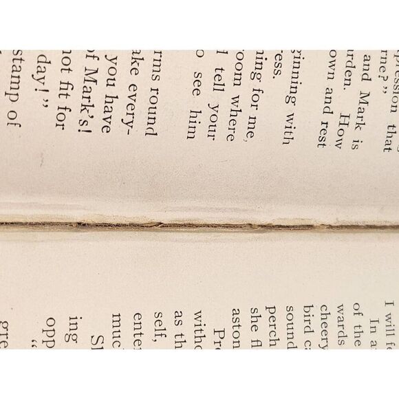 Vintage 1898 Miss Erin hardcover book #A88 - Picture 9 of 12